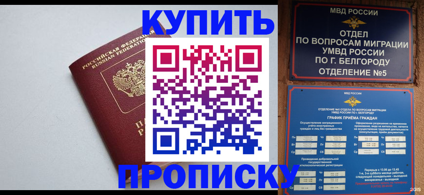 прописка регистрация в Пионерском